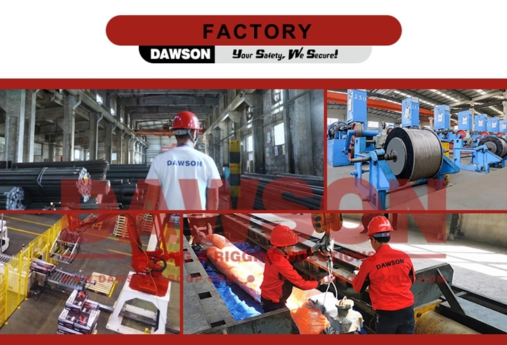 DAWSON Webbing Sling Factory-China Manufacturer, Supplier, Factory